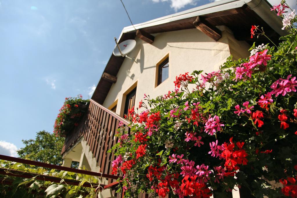 Apartment Ines Smoljanac Exterior foto
